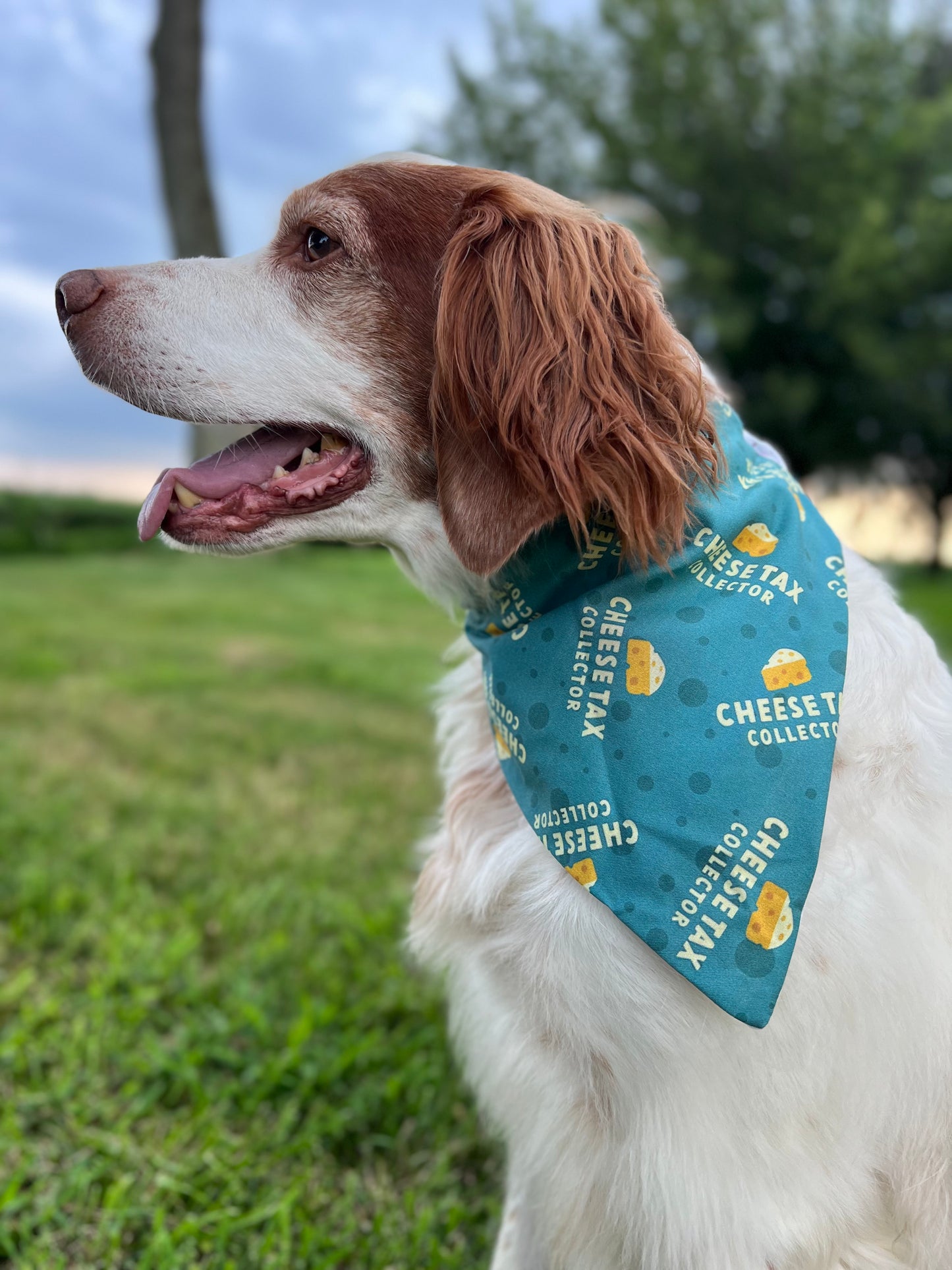 The Boys Dog Bandanas