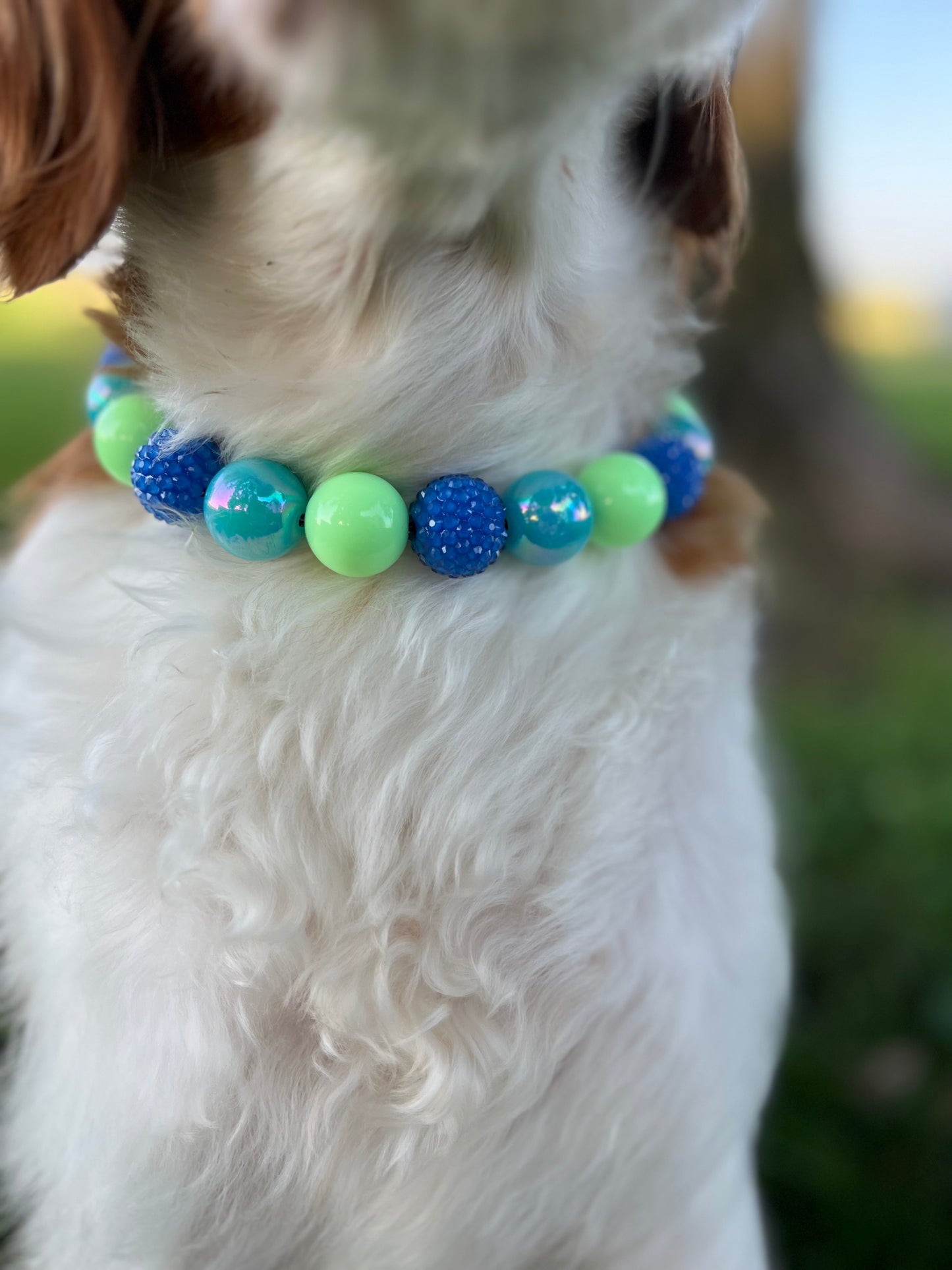 Water Boy Beaded Collar
