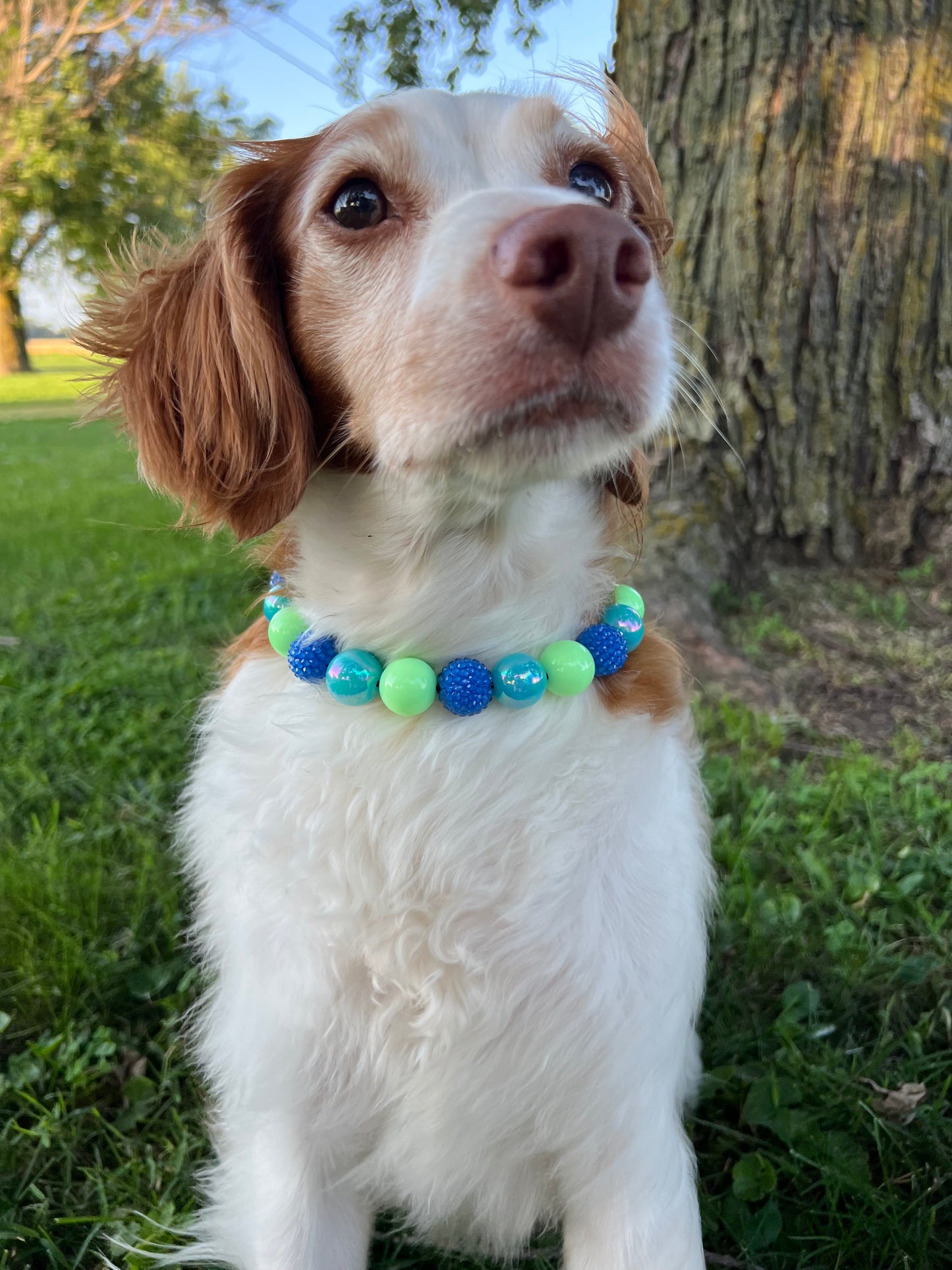 Water Boy Beaded Collar
