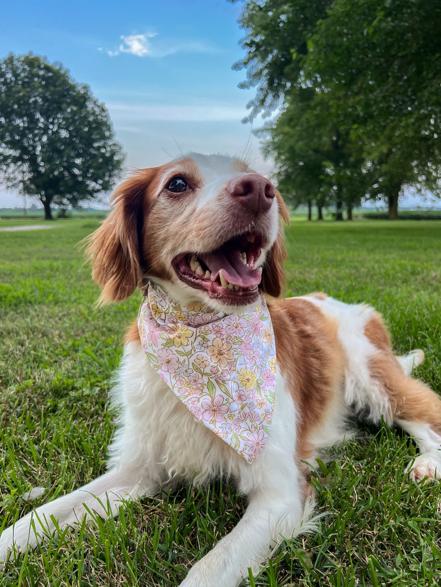 Florals Reversible Bandana