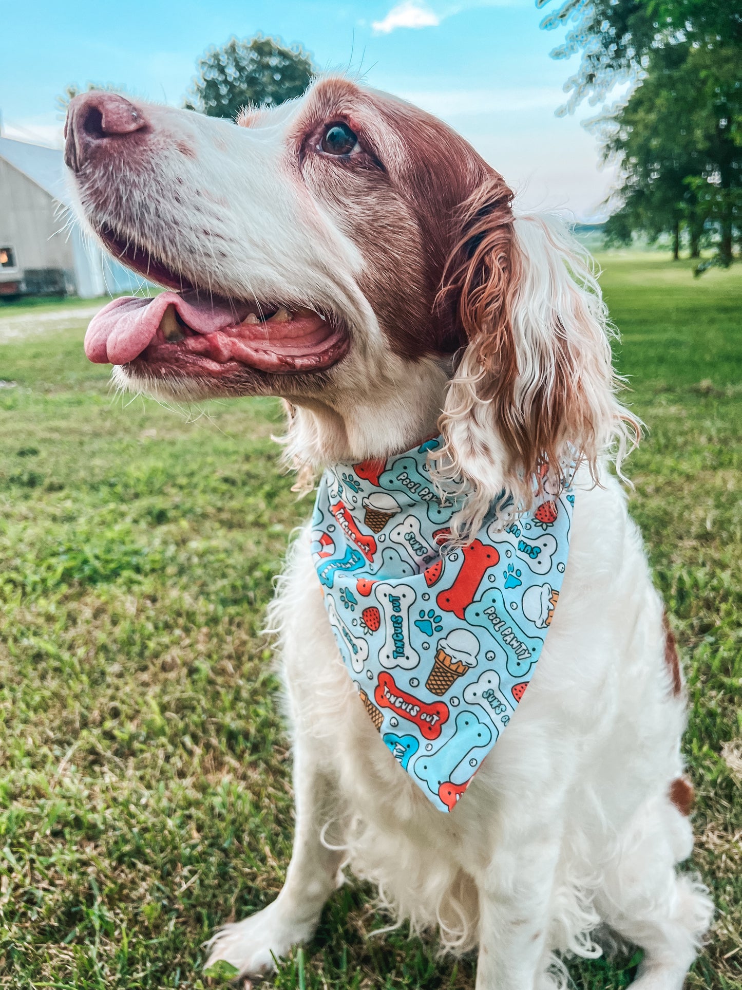 American Summer Reversible Bandana
