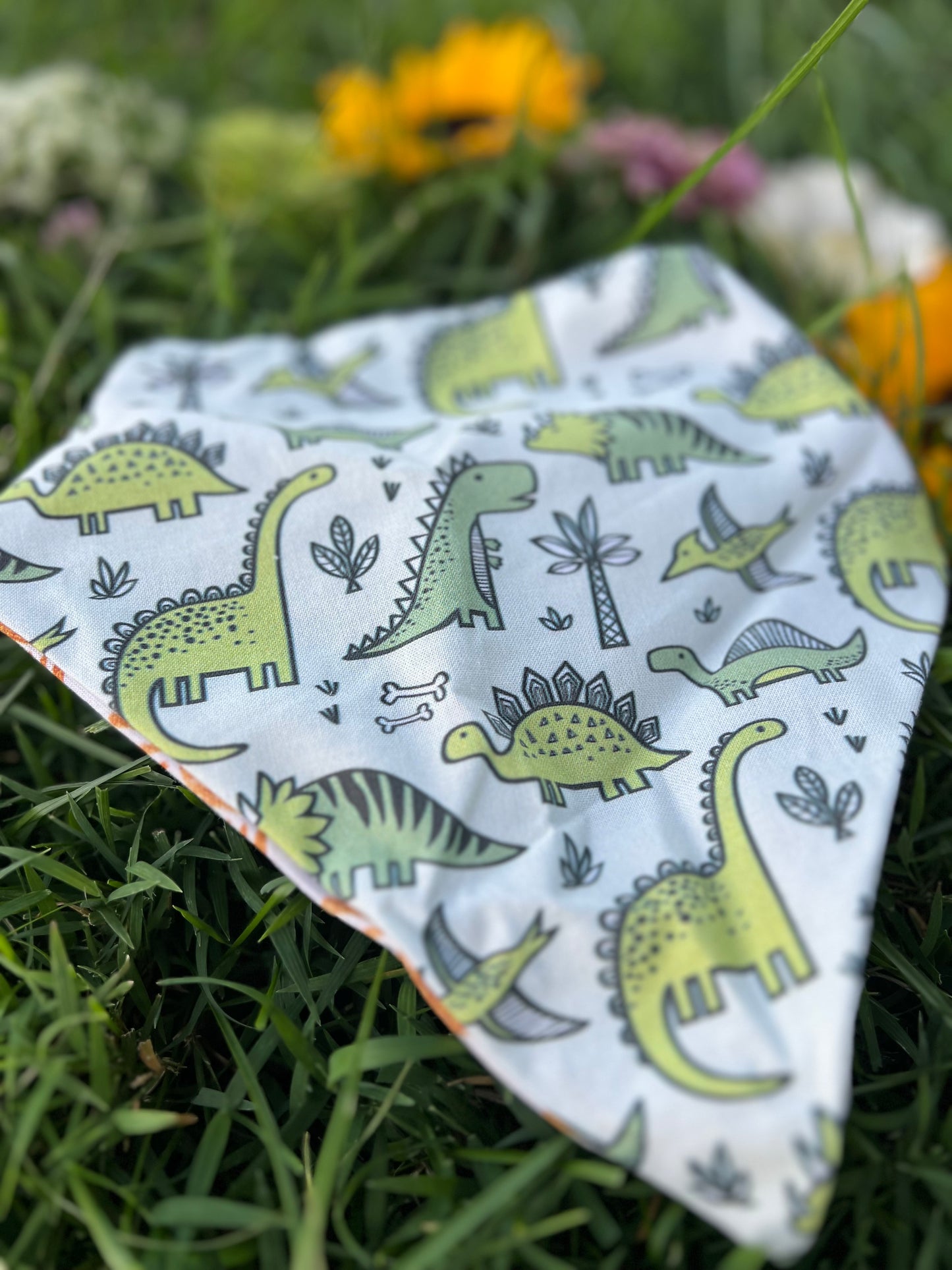 The Boys Dog Bandanas