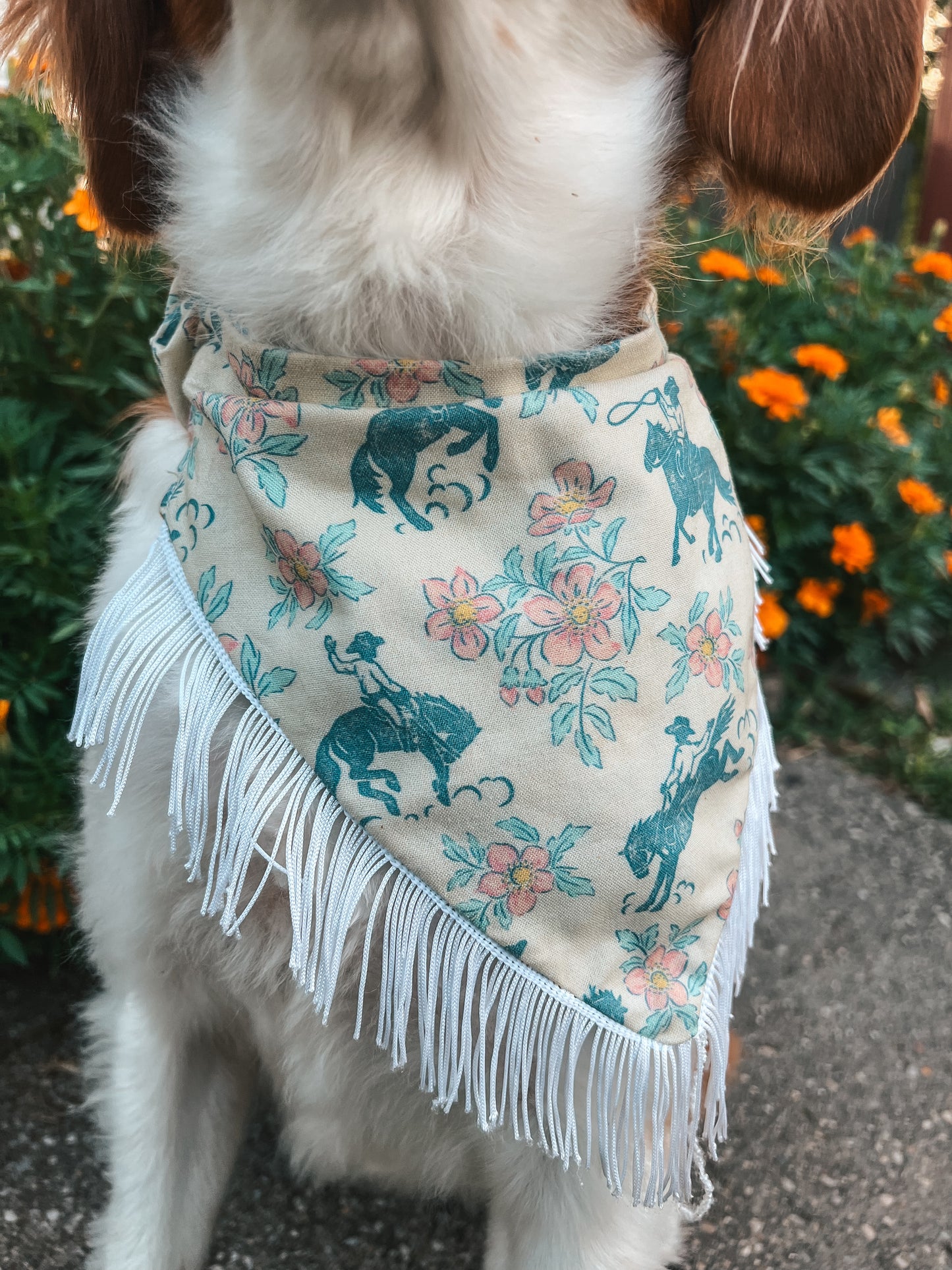 The Cowgirl Western Dog Bandana