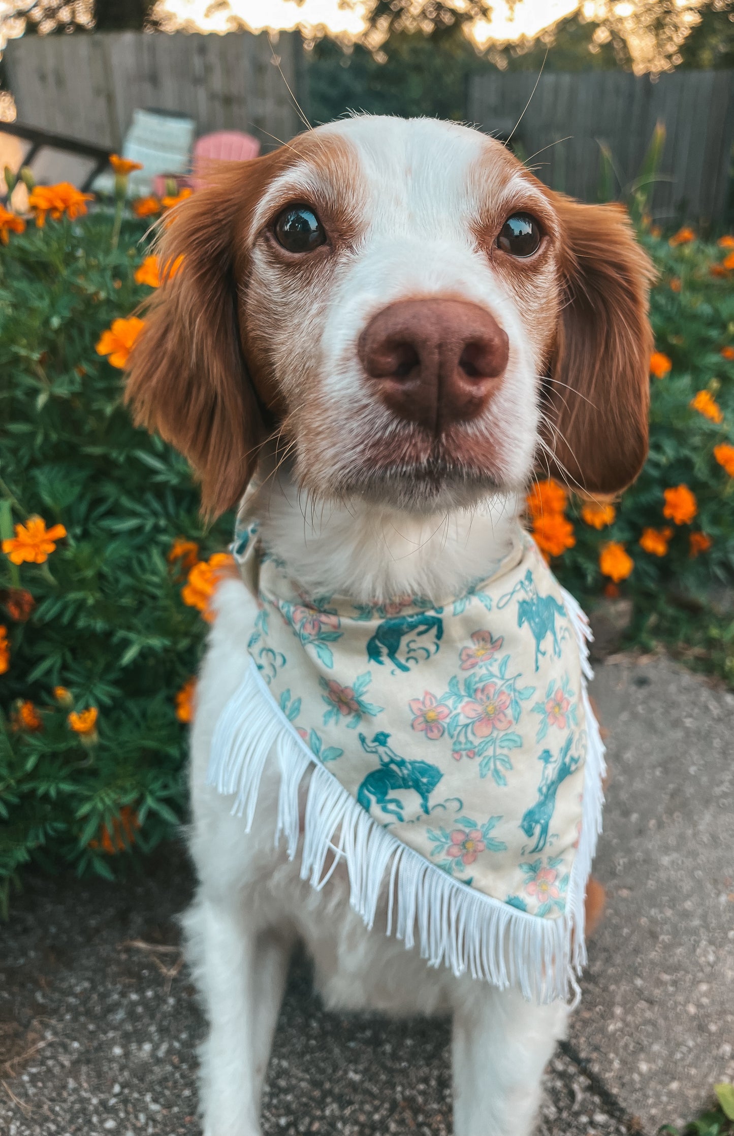 The Cowgirl Western Dog Bandana