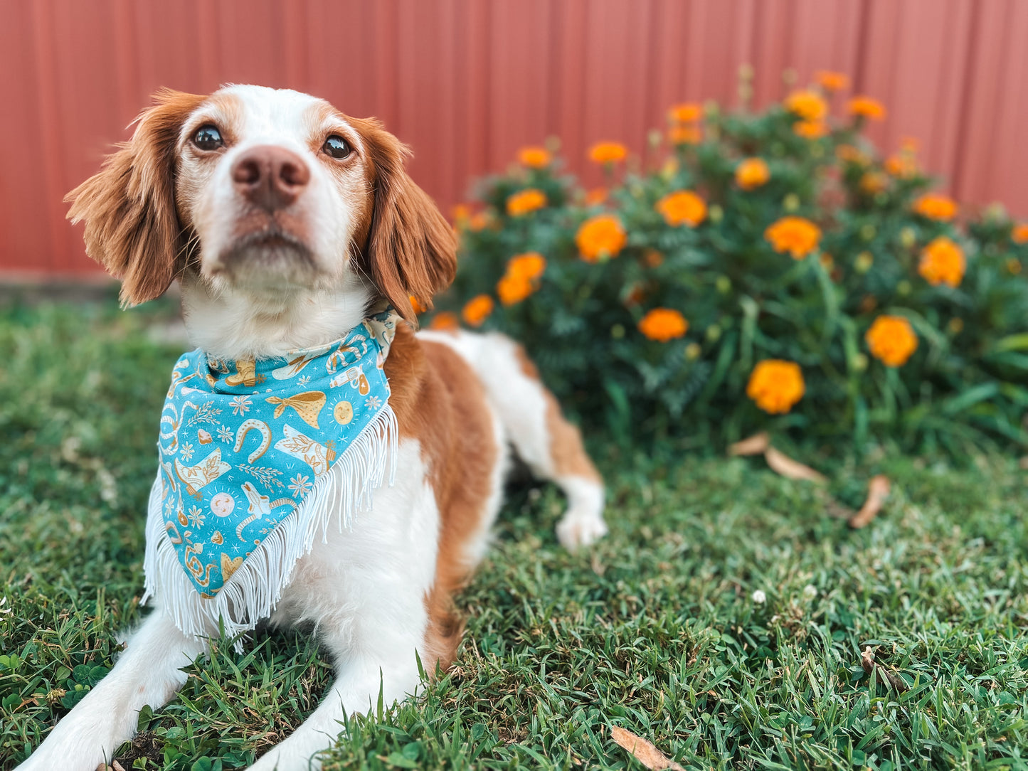 The Cowgirl Western Dog Bandana