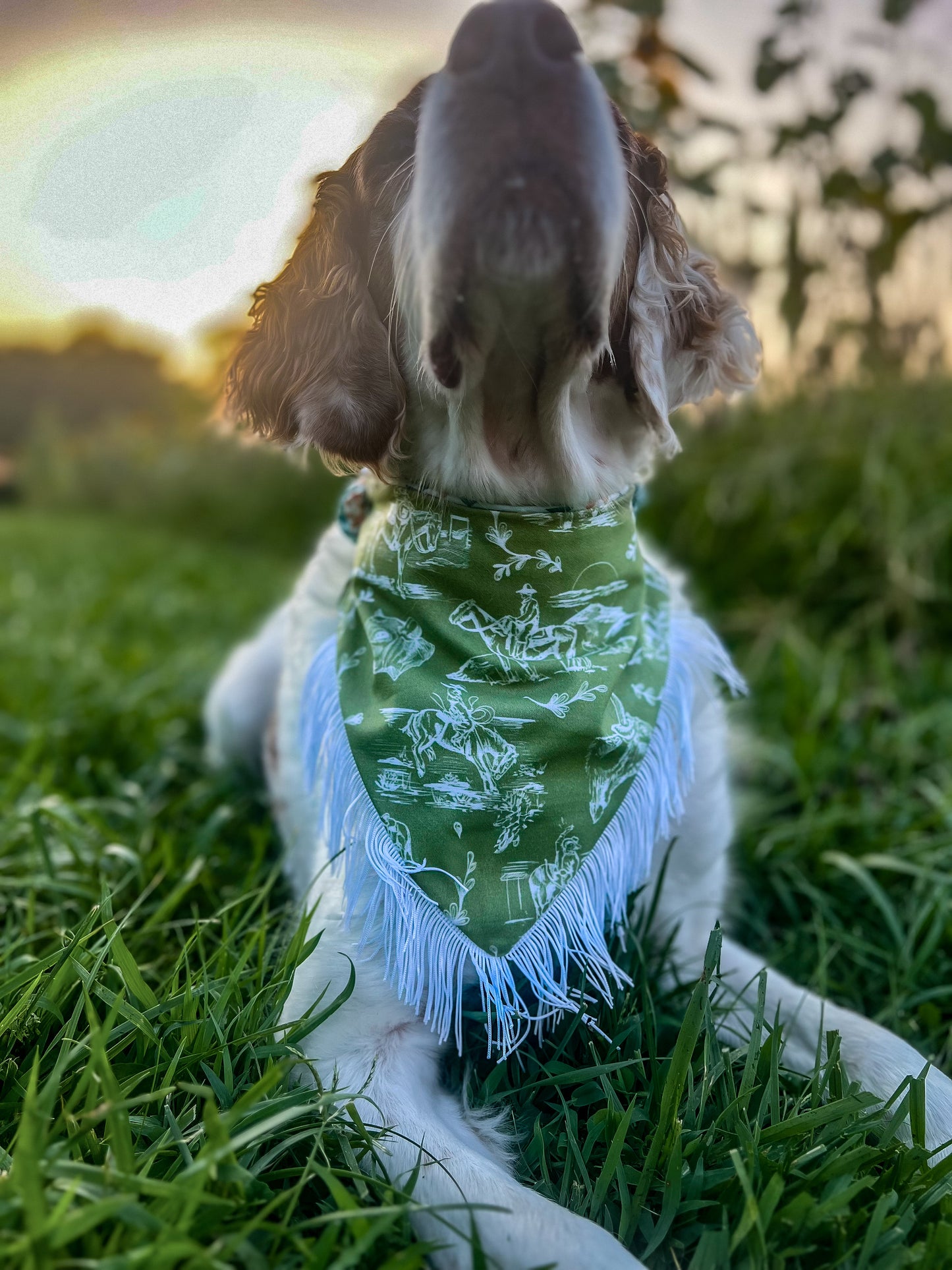 The Cowboy Western Dog Bandana