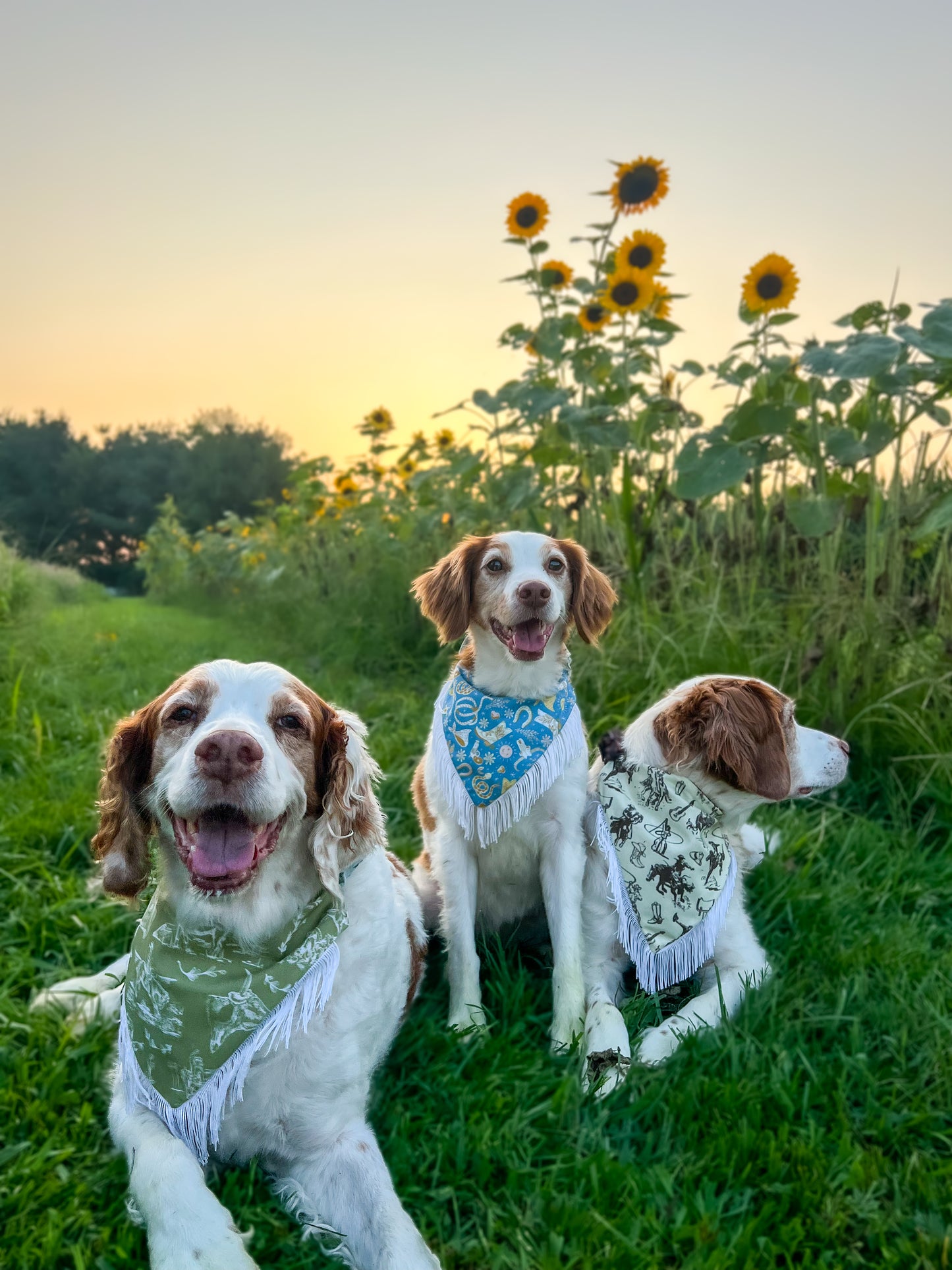 The Cowgirl Western Dog Bandana