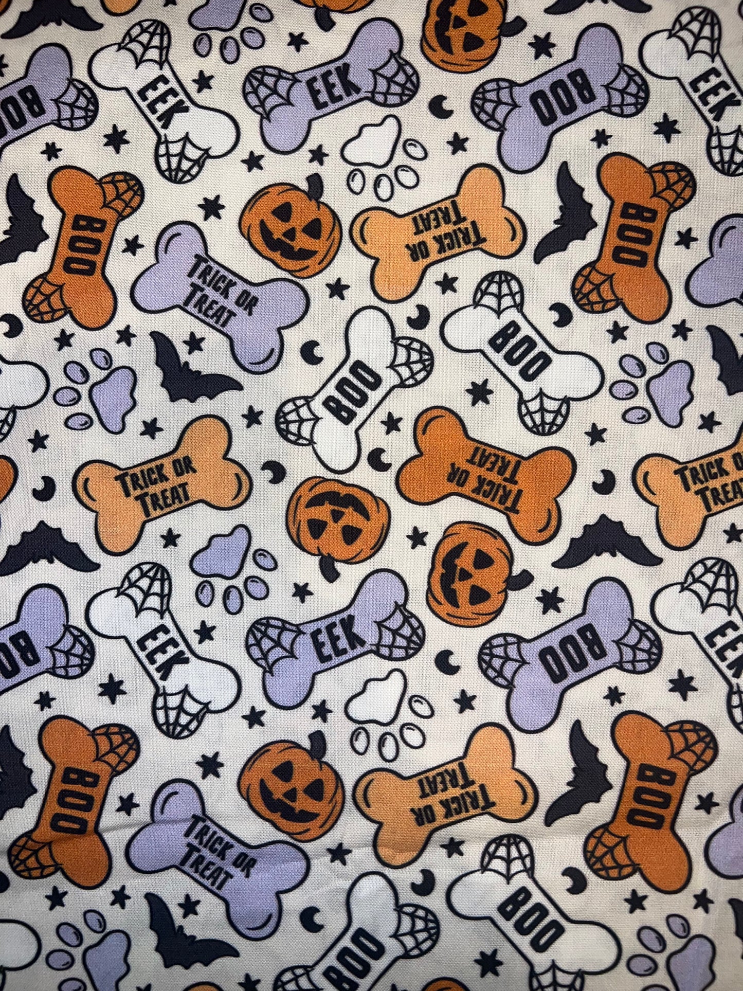 Halloween Reversible Bandana