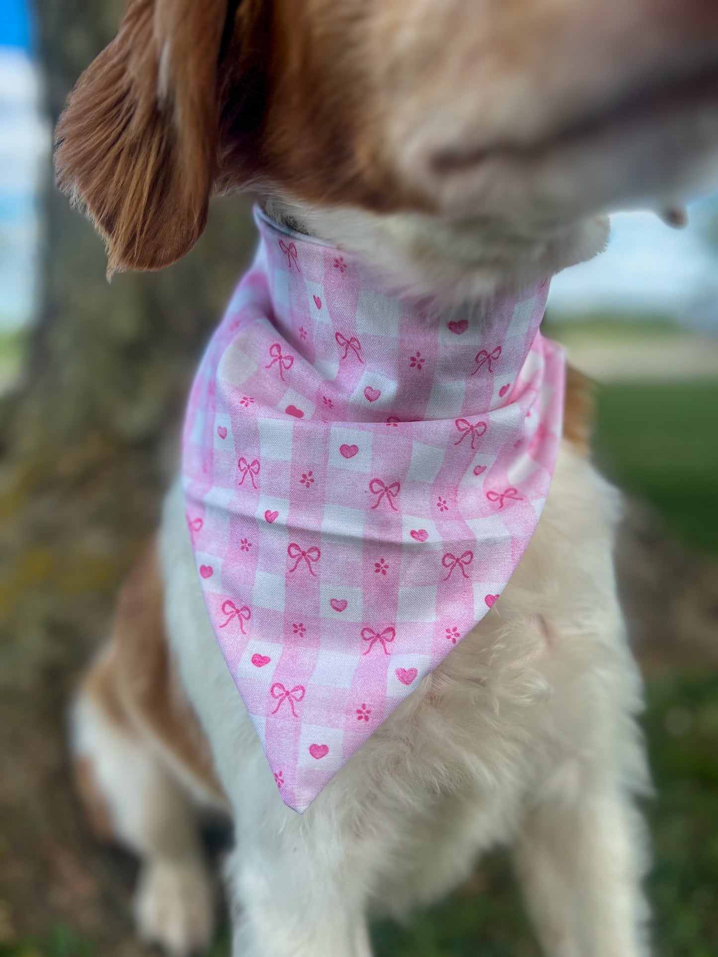 Girly Pop Dog Bandanas