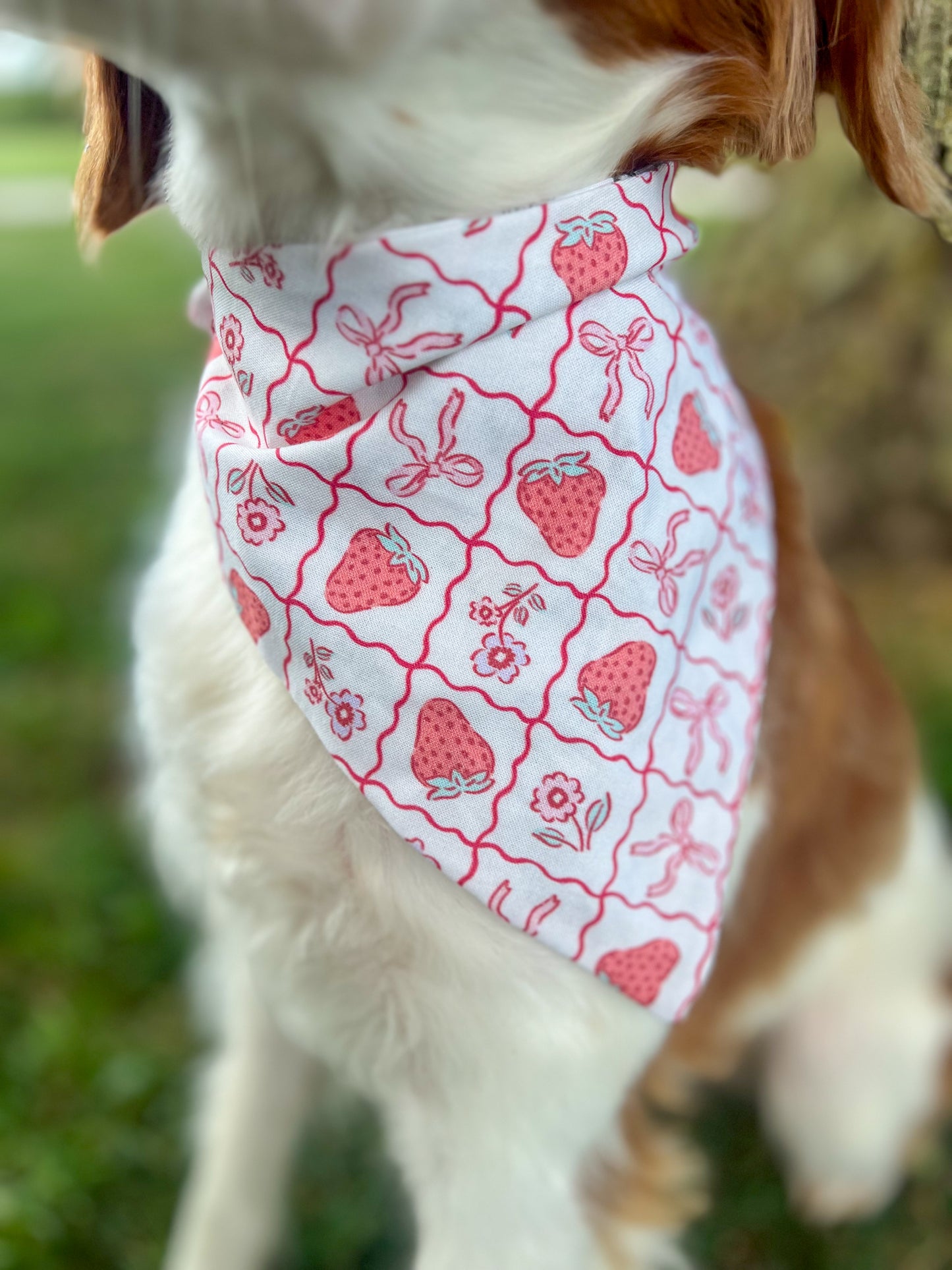 It’s Tay Time Dog Bandana