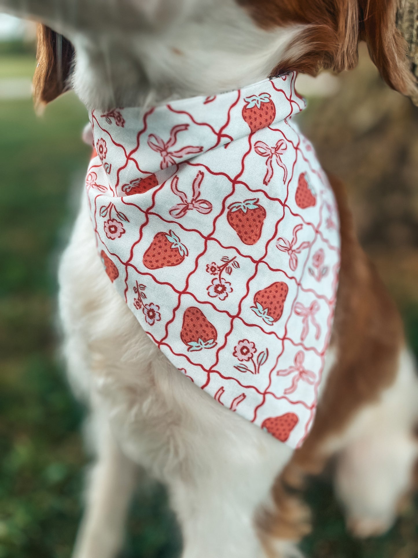 Valentines Day Bandanas 3