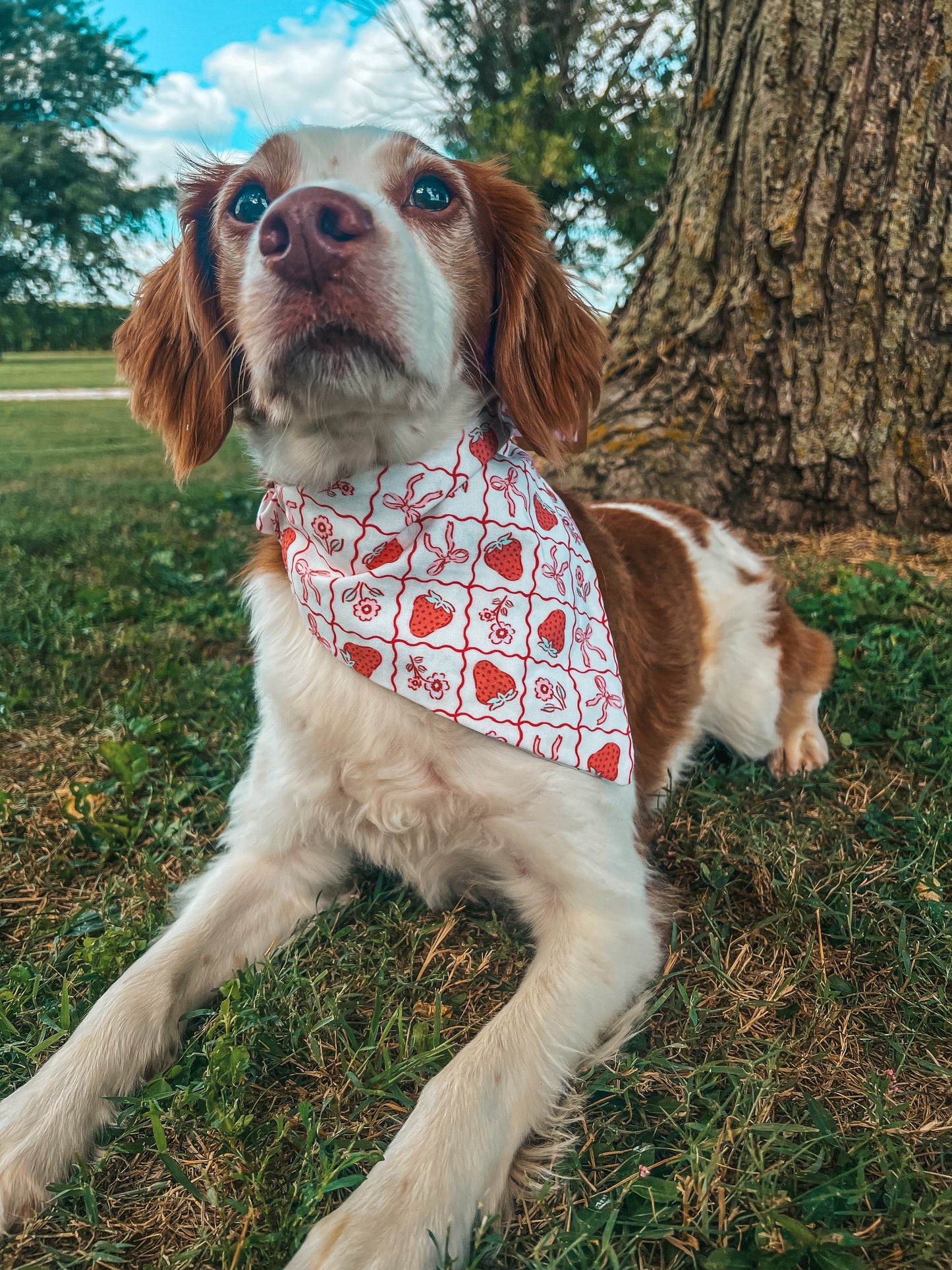 Valentines Day Bandanas 3