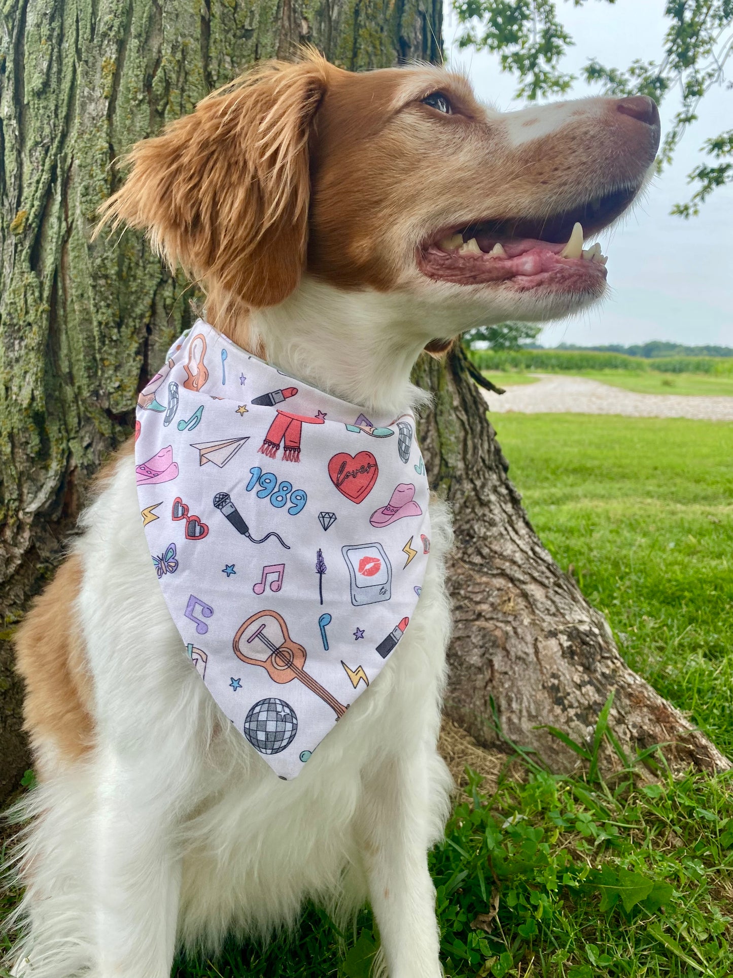 It’s Tay Time Dog Bandana