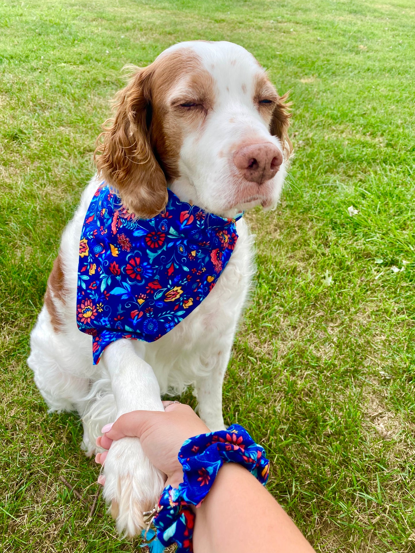 Pioneer Dog Bandanas