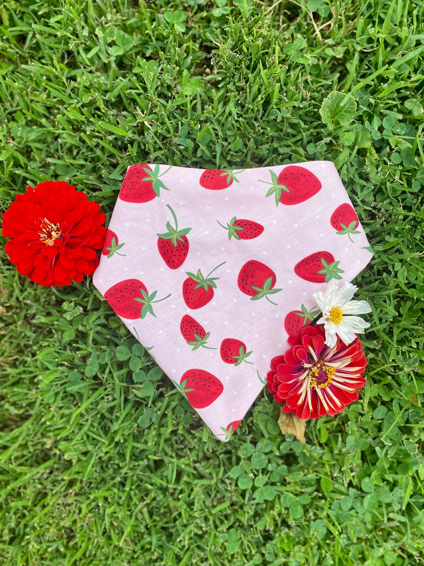 Cutesy Dog Bandanas