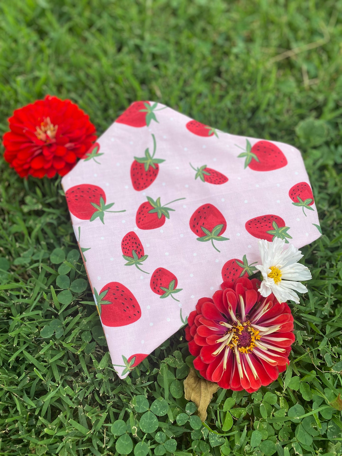 Valentines Dog Bandana 1