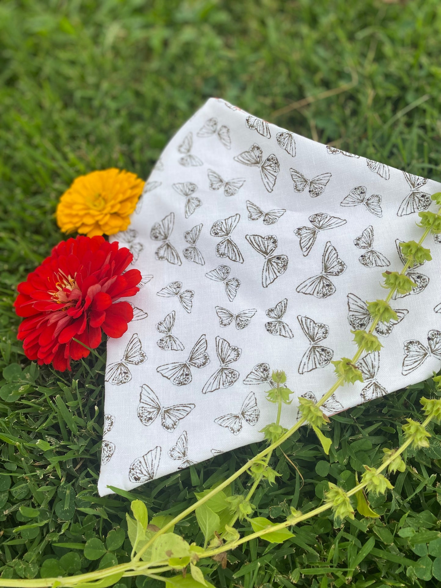 Cutesy Dog Bandanas