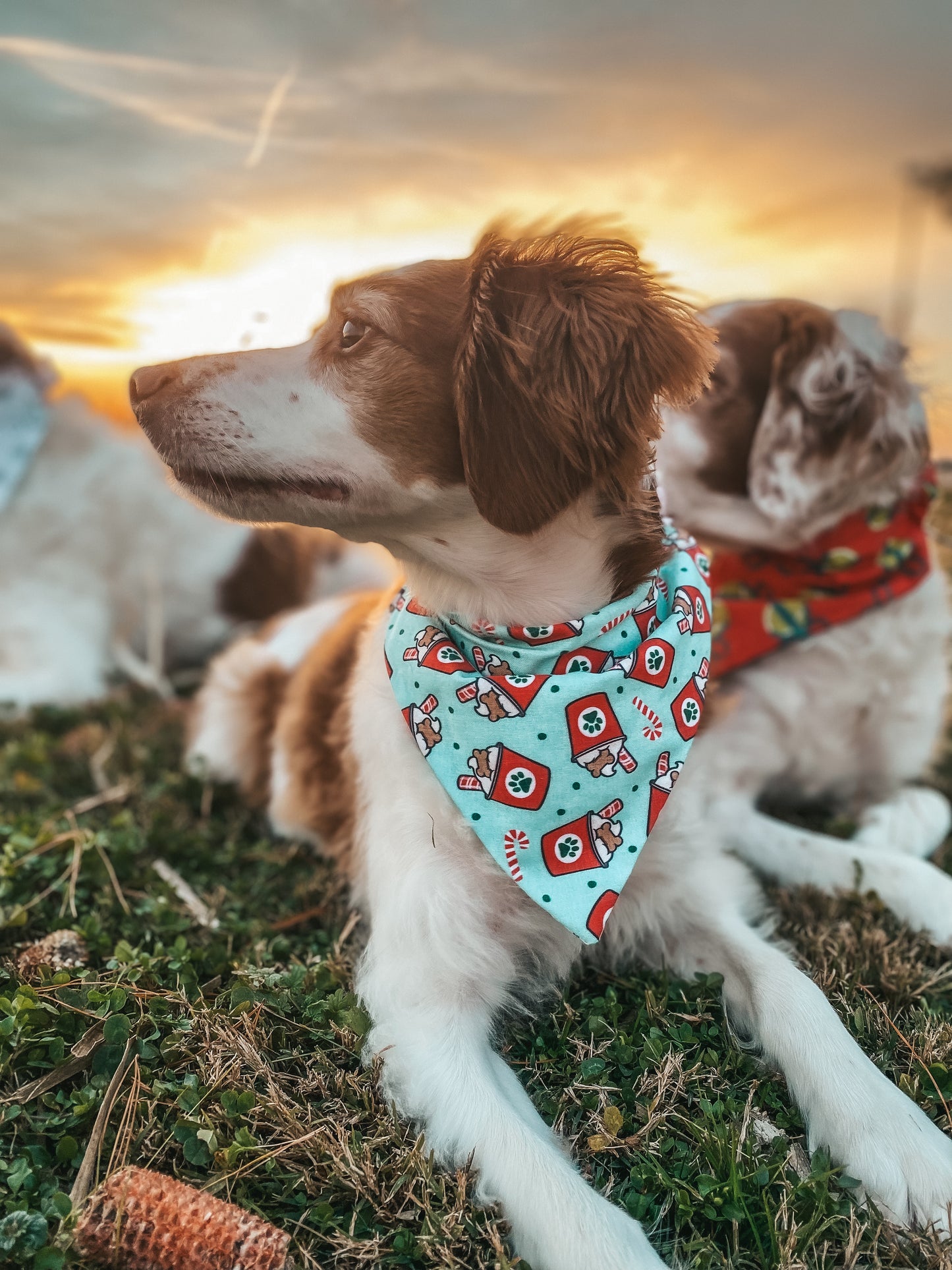 Cutesy Christmas Dog Bandanas