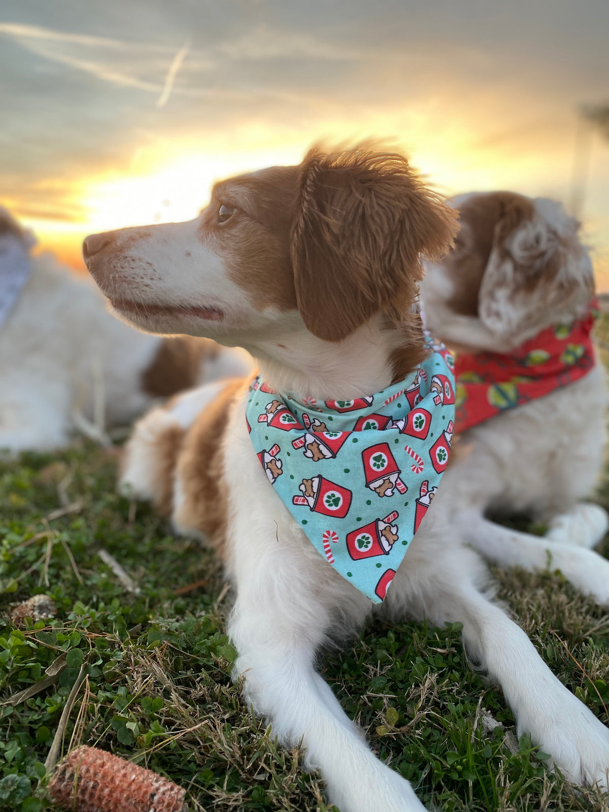 Christmas Favorite Things Bandana