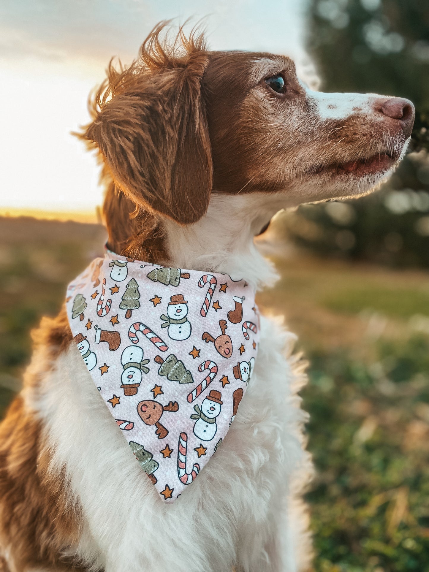 Cutesy Christmas Dog Bandanas