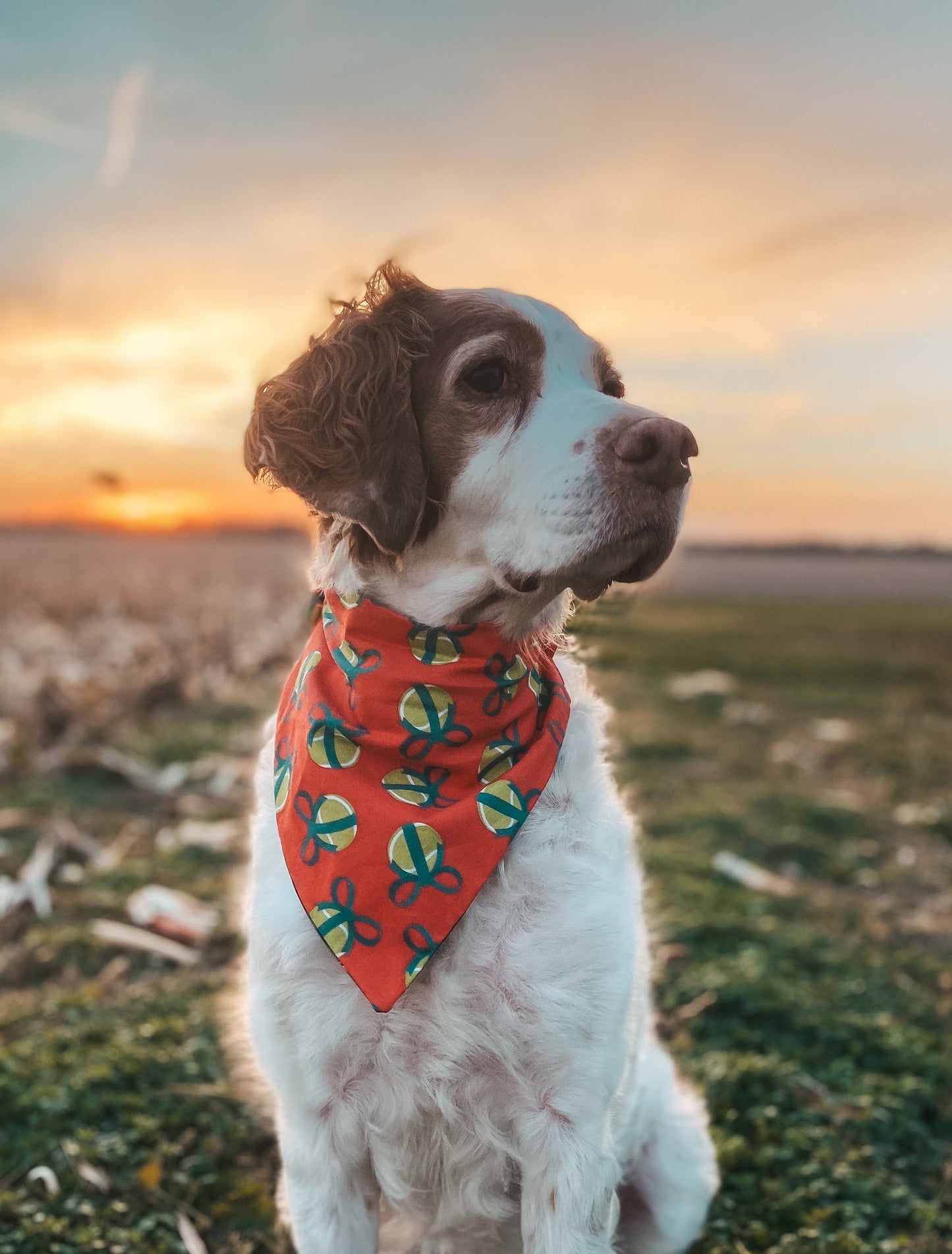 Cutesy Christmas Dog Bandanas