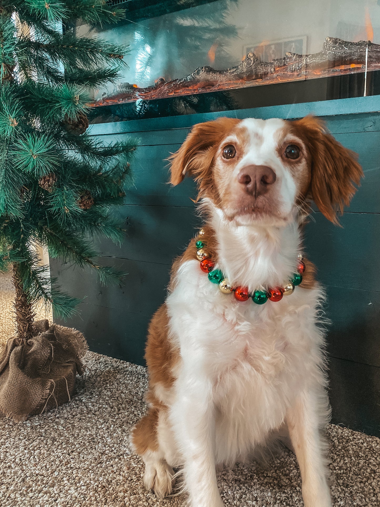 Medium Christmas Beaded Dog Collar