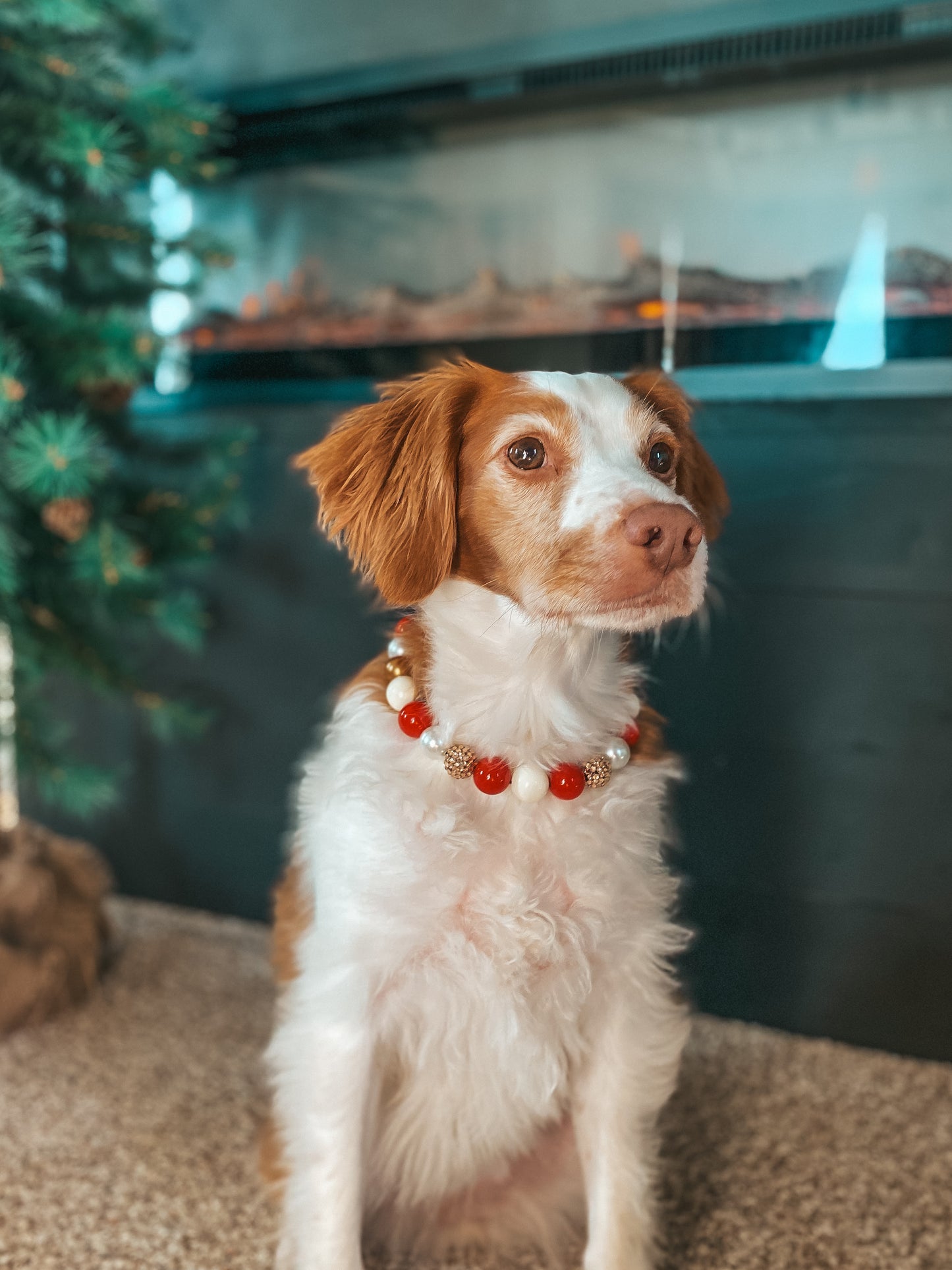 Medium Christmas Beaded Dog Collar