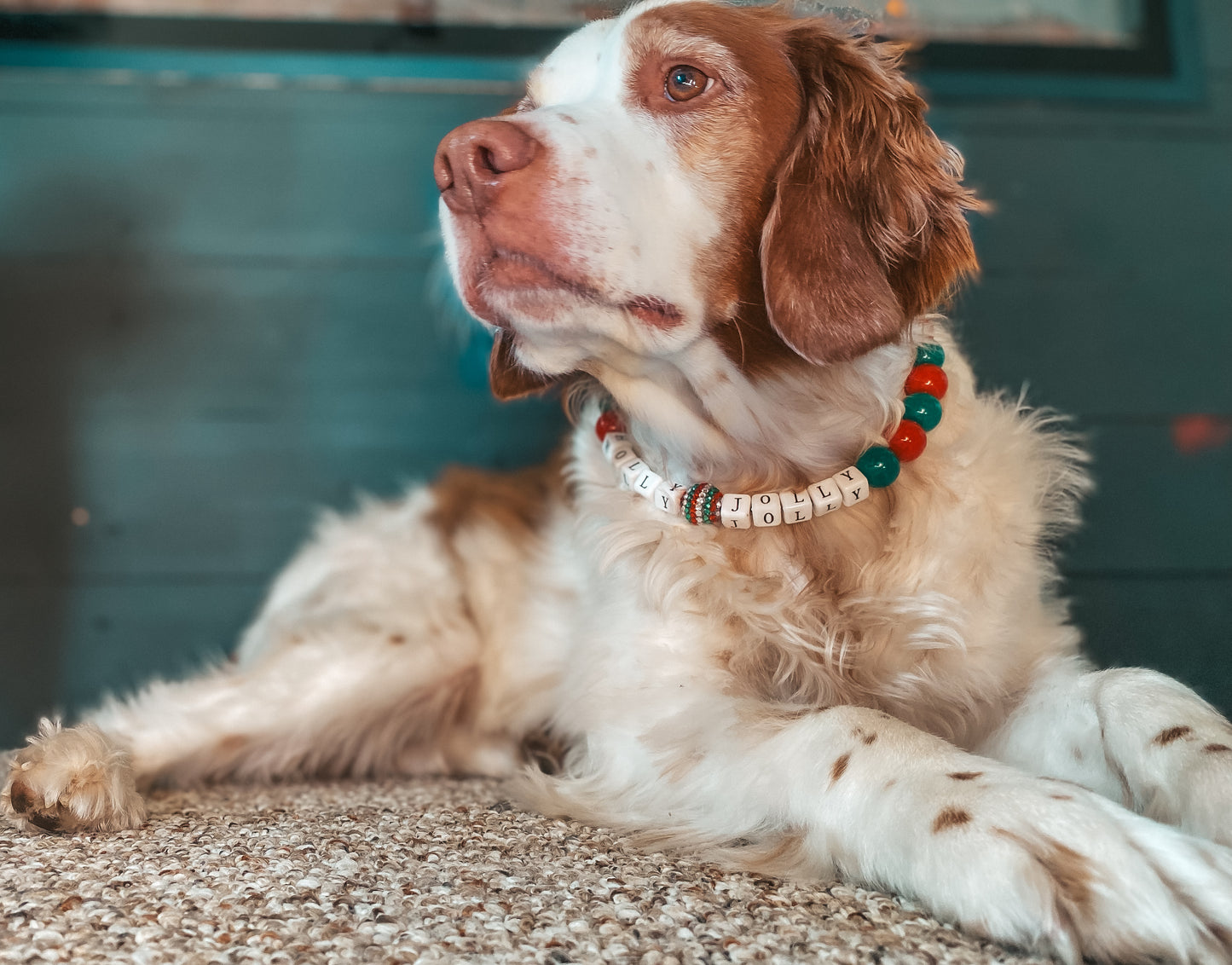 Large Christmas Beaded Dog Collar