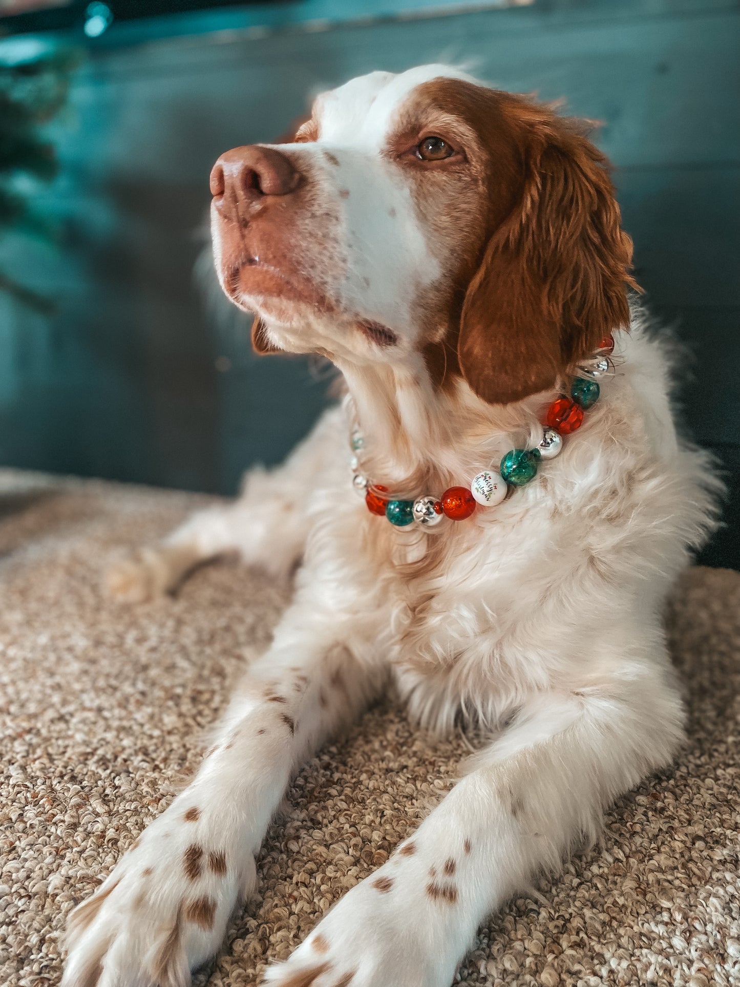 Large Christmas Beaded Dog Collar