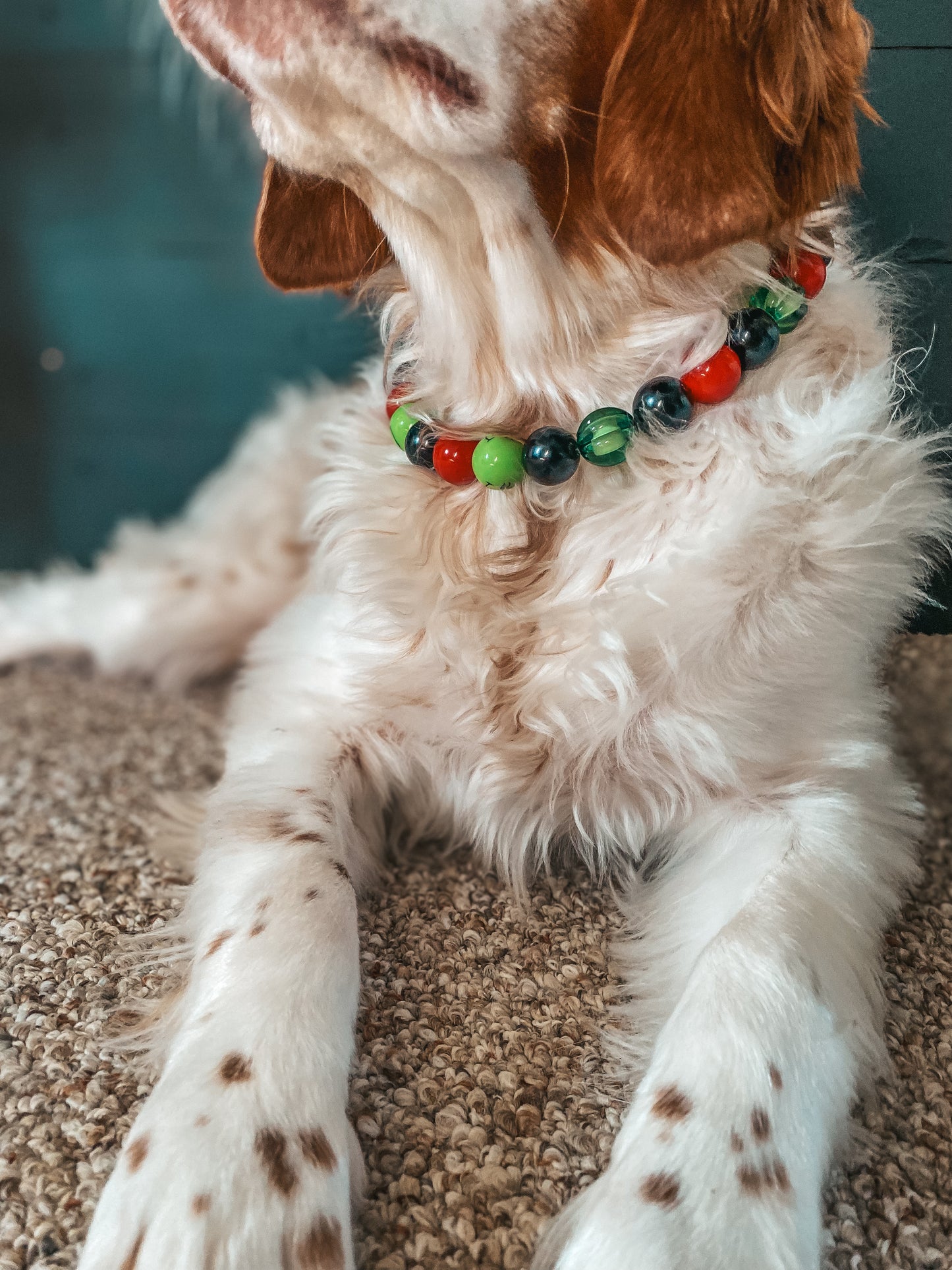 Large Christmas Beaded Dog Collar