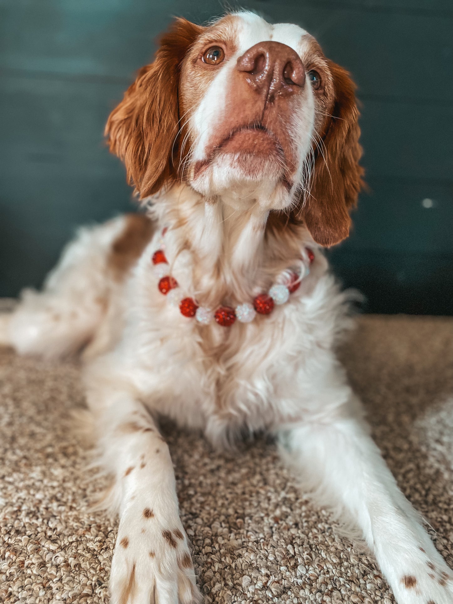 Large Christmas Beaded Dog Collar