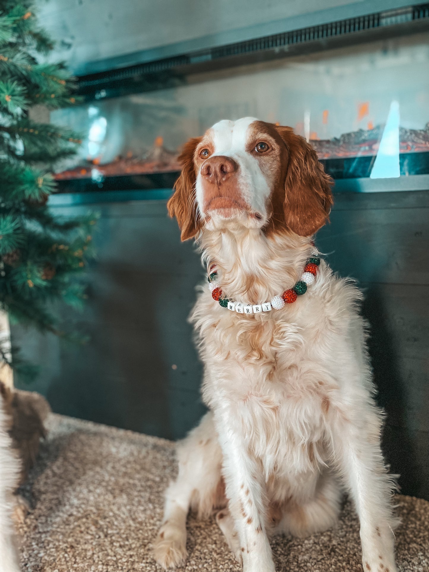 Large Christmas Beaded Dog Collar