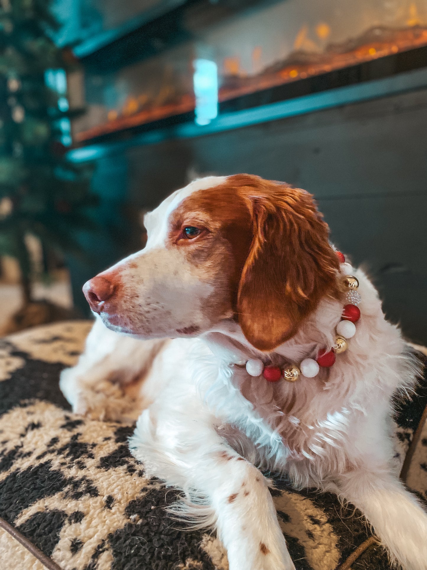 Large Christmas Beaded Dog Collar