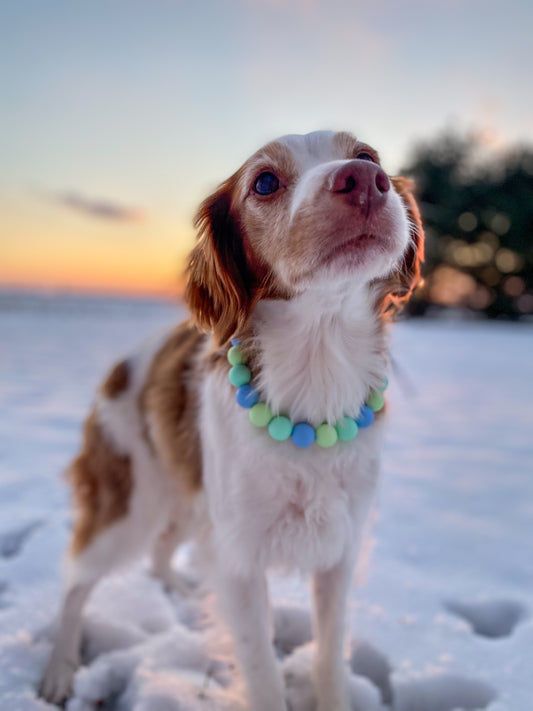 Medium Beaded Dog Collar