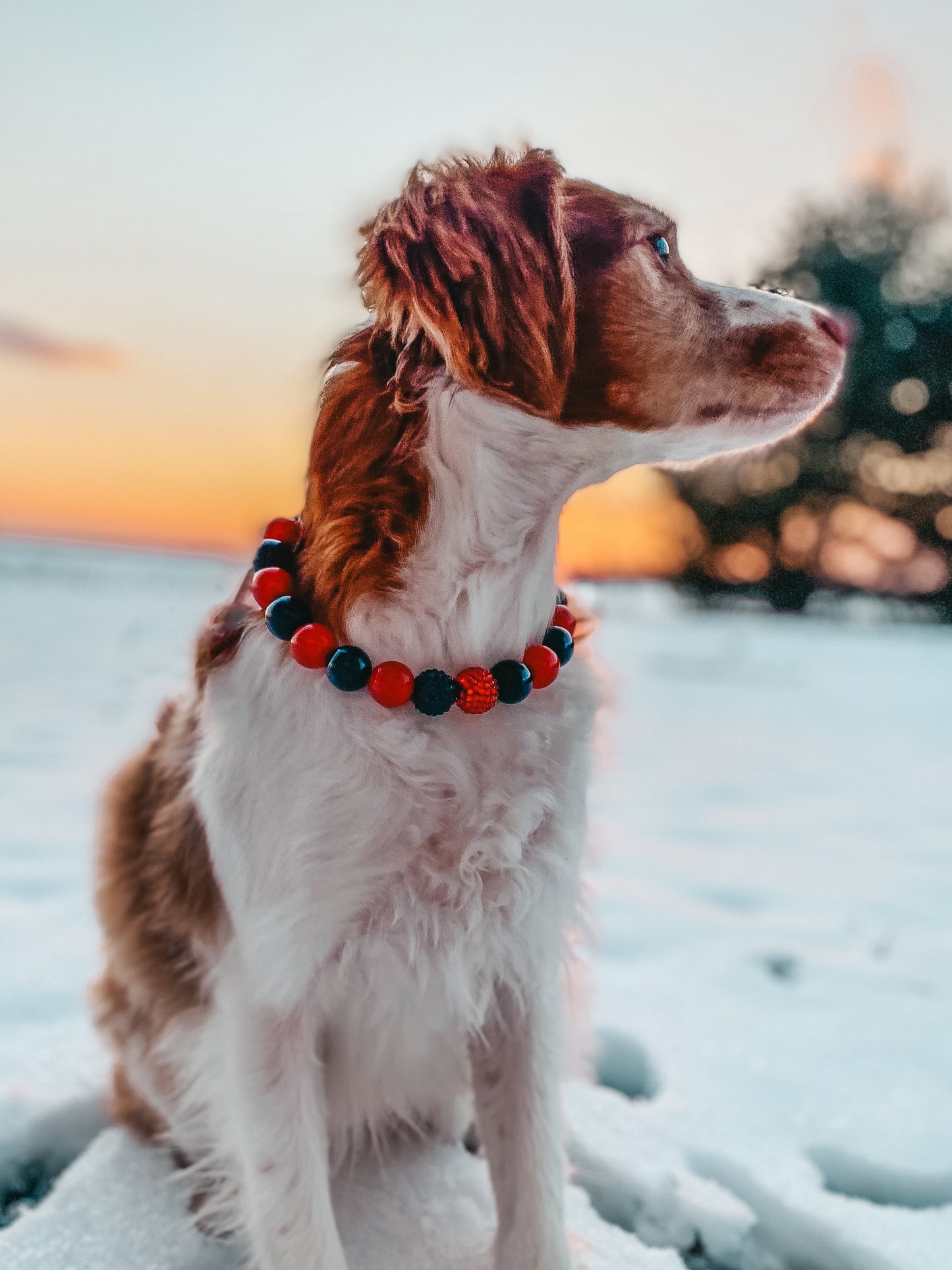 Medium Valentines Beaded Dog Collar