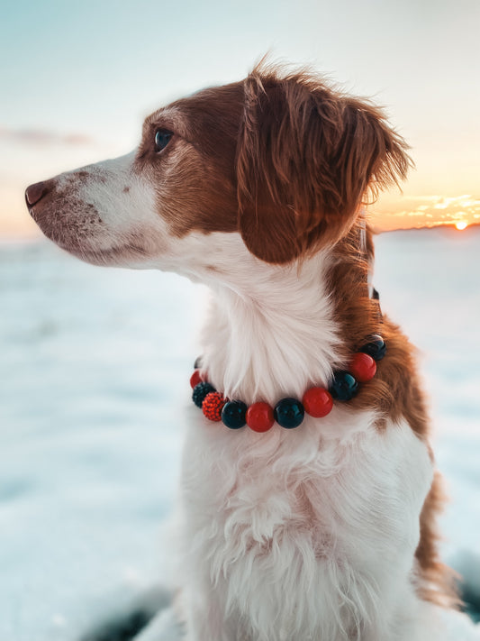 Medium Valentines Beaded Dog Collar