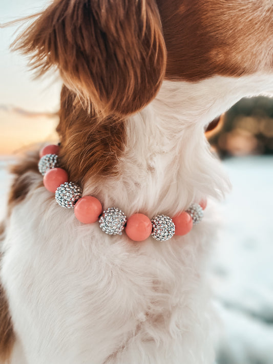 Medium Beaded Dog Collar