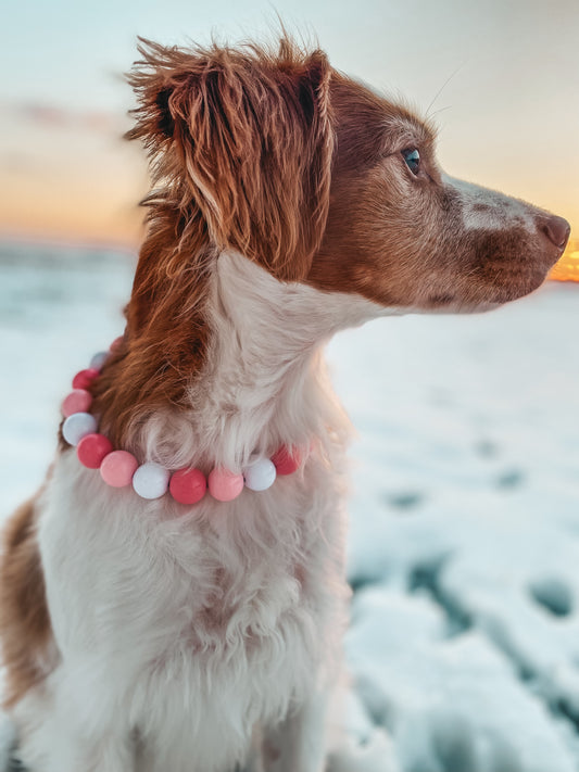 Medium Beaded Dog Collar