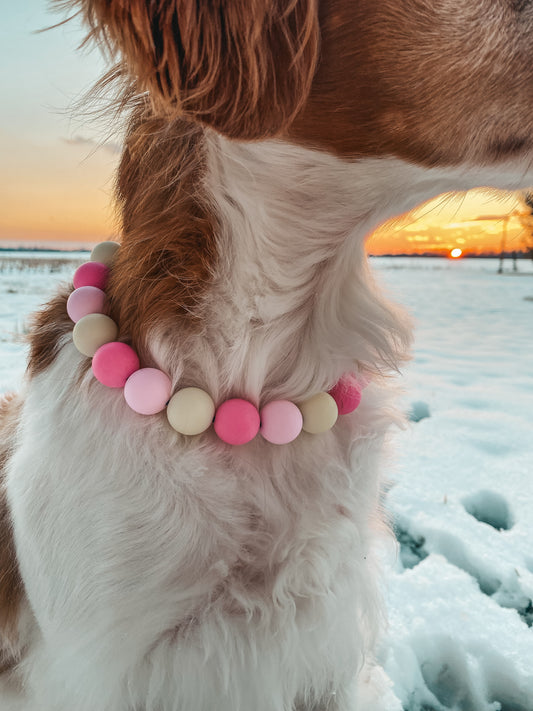 Medium Beaded Dog Collar