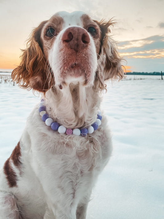 Large Beaded Dog Collar