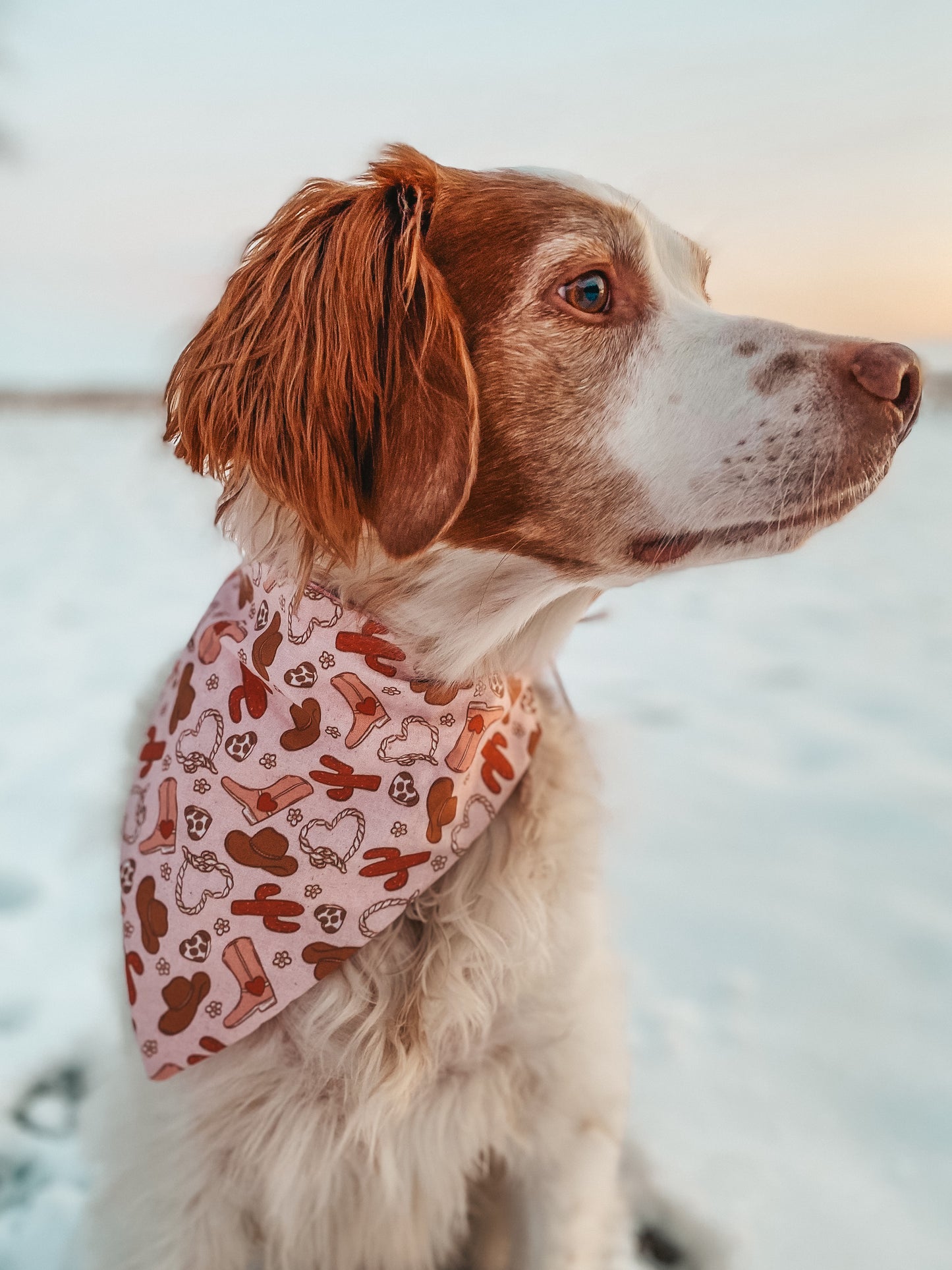 Valentines Day Bandanas 3
