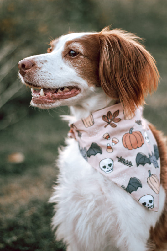 Halloween Dog Bandanas