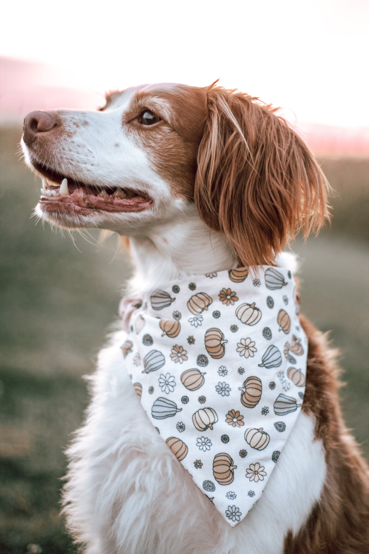 Fall Dog Bandanas